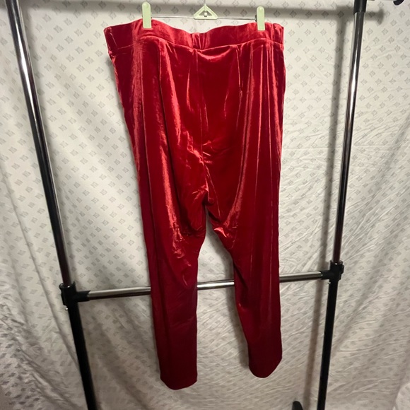 Velvet Red Pants - Picture 9 of 14